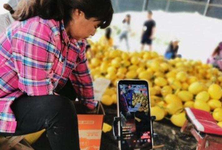 京津冀迎新节节高！50余款地标农产品直供京城(图1)