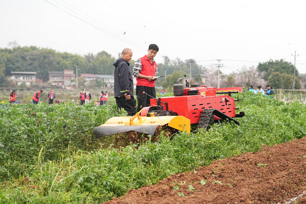 从自动播种到直播带货 北碚探索“全链条”助农惠农新模式