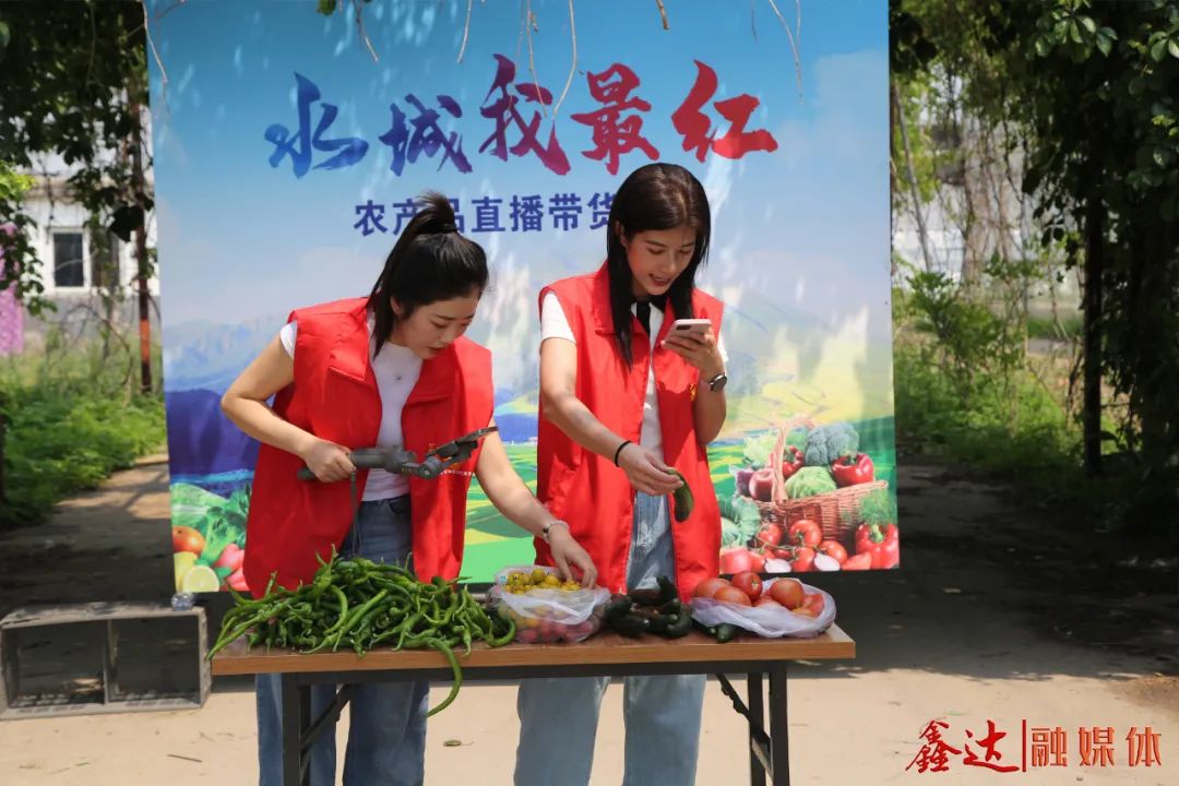 央媒市媒看綦江 “坝坝直播”带农货出圈