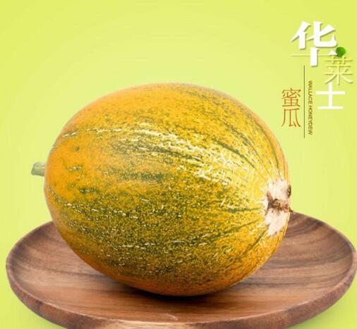 十大内蒙特产值得推荐(图5)